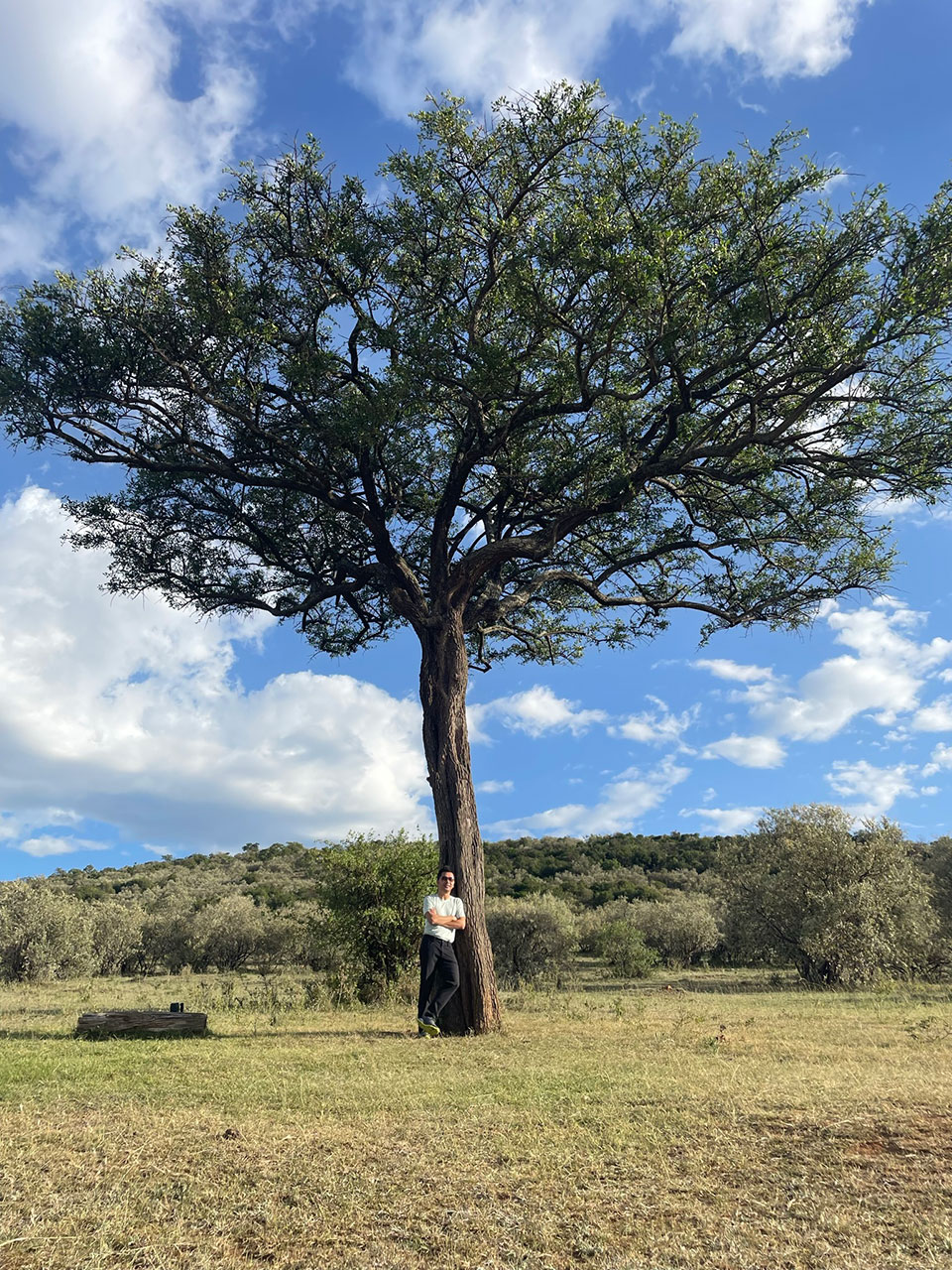 The image depicts a person standing in front of a large, leafy tree with a clear blue sky above and a grassy field below.