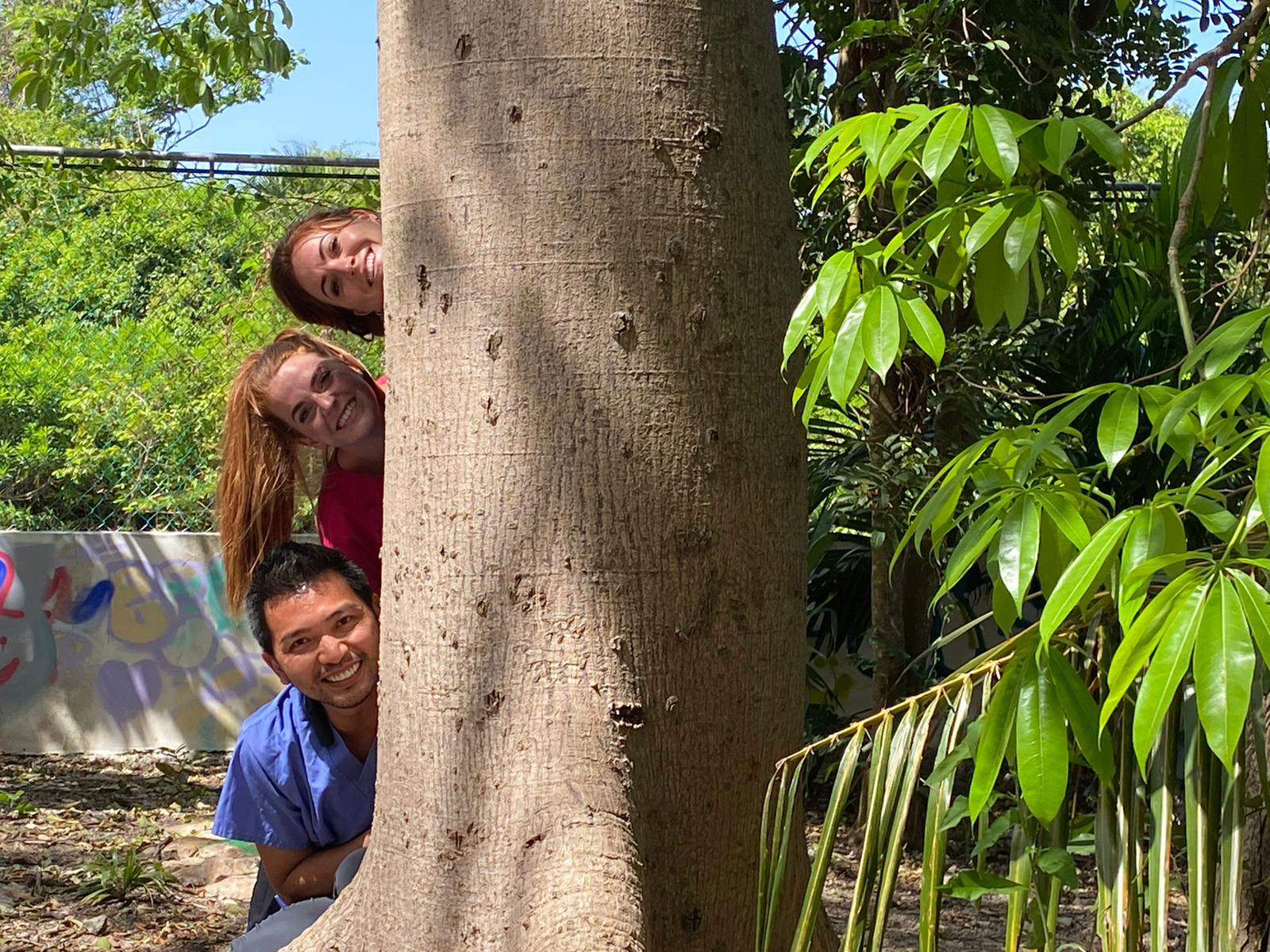 The image shows three individuals peeking out from behind a tree in a park-like setting.