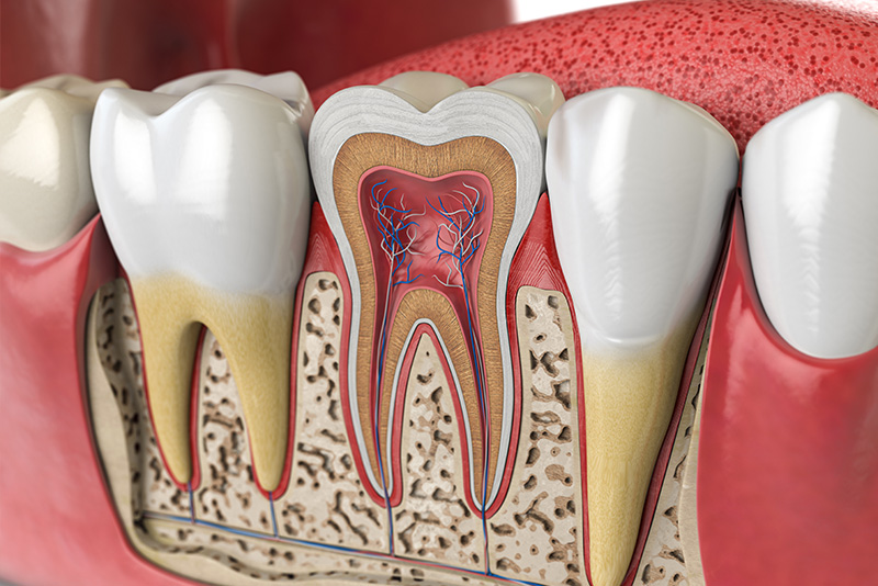 The image displays a detailed and colorful illustration of an open human mouth with various teeth, gums, and dental implants, showcasing the complex structure of the oral cavity.